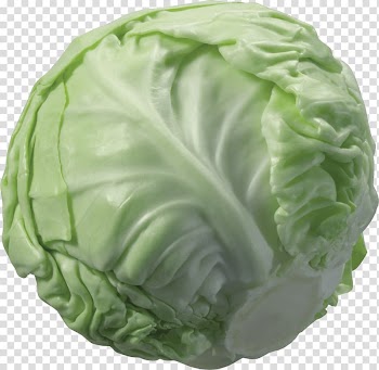 Cabbage Cauliflower Vegetable, Cabbage transparent background PNG clipart