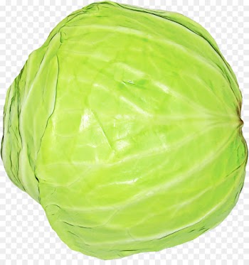 cabbage green wild cabbage iceburg lettuce vegetable