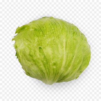 cabbage iceburg lettuce vegetable lettuce leaf vegetable