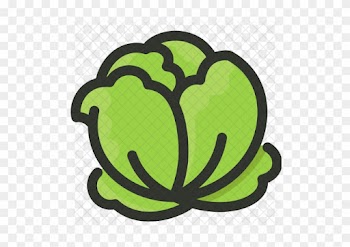 Cabbage Icon - Food