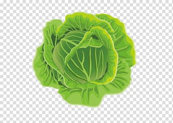 Cabbage Leaf vegetable Cauliflower Kale, Cabbage transparent background PNG clipart