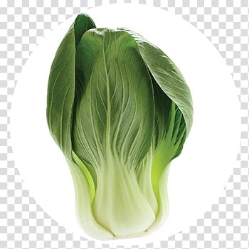 Cabbage Leaf vegetable Food, bok choy transparent background PNG clipart