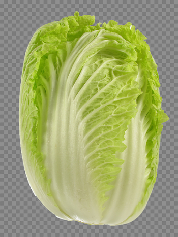 Cabbage PNG Picture