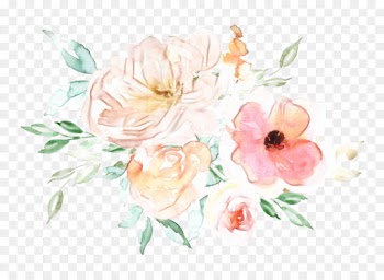 Cabbage Rose, Garden Roses, Floral Design, Flower, Watercolor Paint PNG