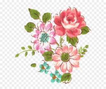 Cabbage Rose, Garden Roses, Flower, Pink PNG