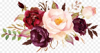 Cabbage rose Garden roses Peony Cut flowers Floral design - peony 