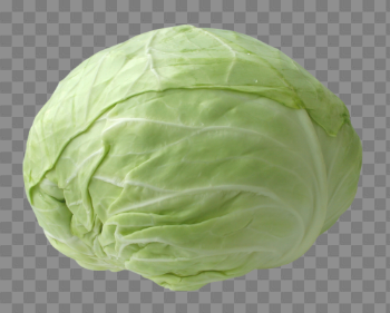 Cabbage Transparent Images