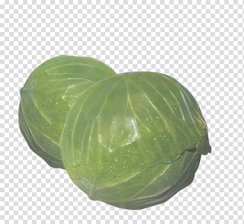 Cabbage Vegetable, Cabbage transparent background PNG clipart