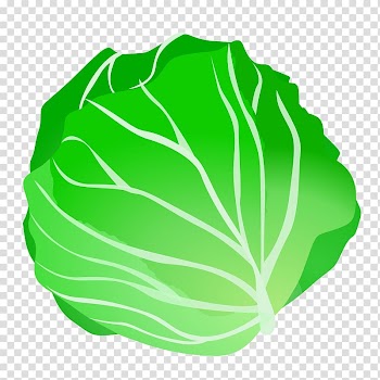 Cabbage Vegetable , Cabbage transparent background PNG clipart