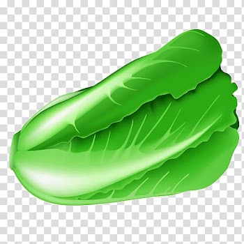 Cabbage Vegetable, Cartoon cabbage transparent background PNG clipart