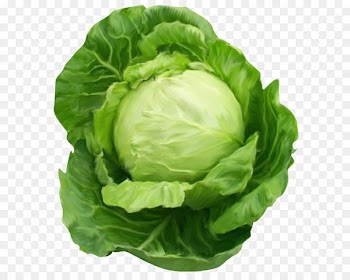 Cabbage Vegetable Clip art - Cabbage Clipart Picture 