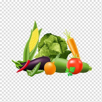 Cabbage Vegetable Illustration, Vegetables Jigsaw transparent background PNG clipart
