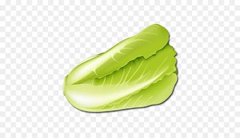 Cabbage, Vegetable, Lettuce, Green, Leaf PNG