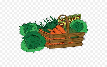 Cabbage Vegetable oil Carrot Portable Network Graphics - backboard design element 