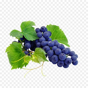 Cabernet Sauvignon Cabernet Franc Red Wine Somerset Ridge Vineyard & Winery - grape 