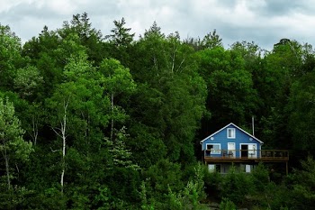 Cabin In The Woods