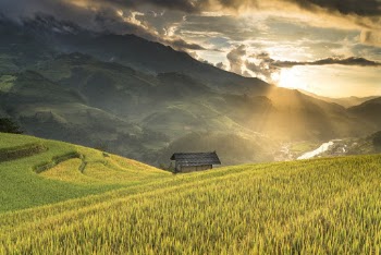 Cabin Near Fields