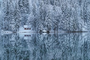 cabin near woods and lake with snow