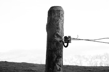 Cable Wire Tied on Post