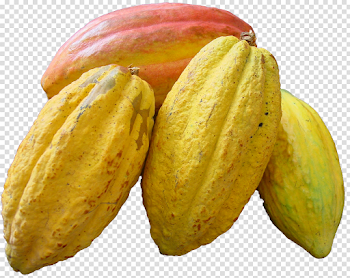 Cacao PNG images free download