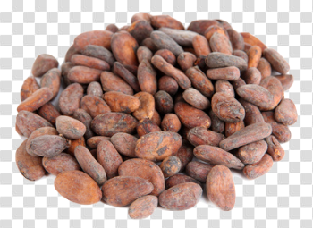 Cacaos PNG Free Download