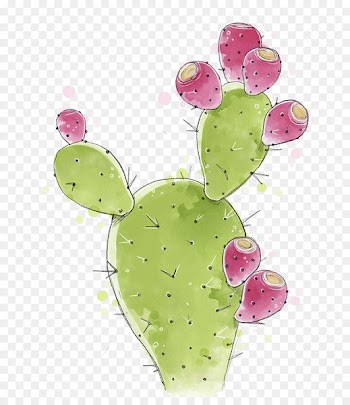 Cactaceae Barbary fig Nopal - Cactus hand painted 