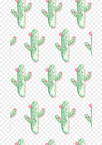 Cactaceae Barbary fig Succulent plant Wallpaper - Little cactus 