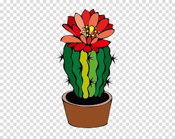 Cactaceae Barrel cactus Flower Desert , Flowering cactus transparent background PNG clipart