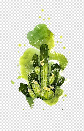 Cactaceae, cactus transparent background PNG clipart