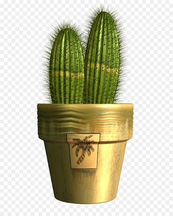 Cactaceae Clip art - cactus 
