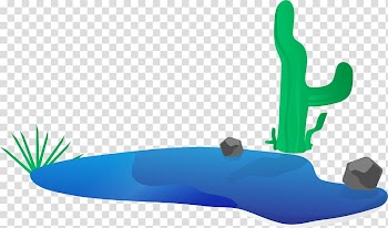 Cactaceae Designer, Cactus wastes transparent background PNG clipart
