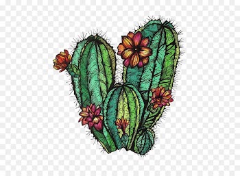 Cactaceae Drawing Painting - cactus 