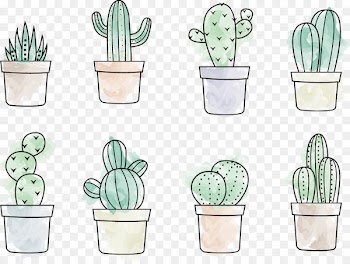Cactaceae Drawing Painting - Cactus Vector 