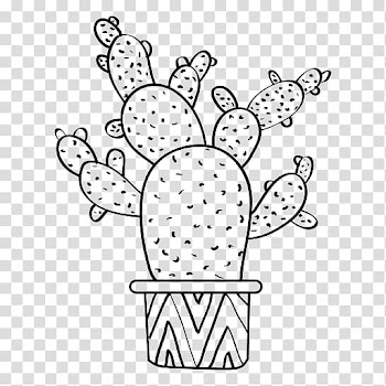 Cactaceae Drawing Succulent plant , watercolor cactus transparent background PNG clipart
