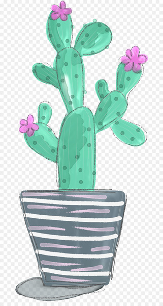 Cactaceae Flowering plant Instagram - cactus 