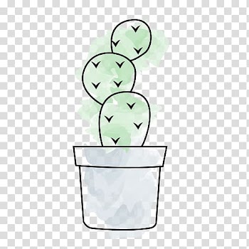 Cactaceae Flowerpot Plant, cactus transparent background PNG clipart