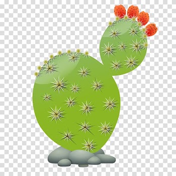 Cactaceae Free content , Cactus flowers transparent background PNG clipart
