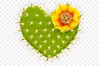 Cactaceae Heart Barbary fig Thorns, spines, and prickles - Cactus plant 
