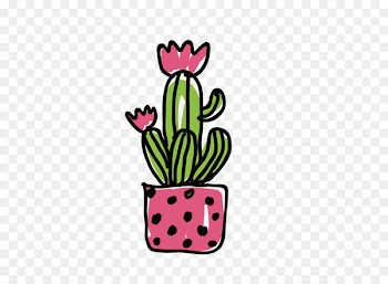Cactaceae Illustration - Vector Cactus Flower Illustration 