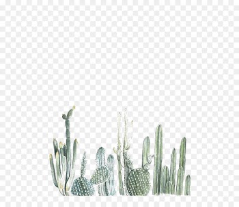 Cactaceae Paper Printing Painting Printmaking - cactus 