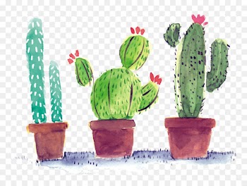 Cactaceae Poster - Watercolor cactus 