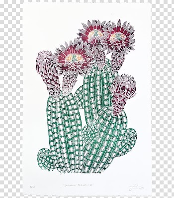 Cactaceae Printing Printmaking, watercolor succulent transparent background PNG clipart