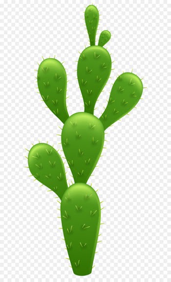 Cactaceae Saguaro Clip art - Cactus Transparent PNG Clip Art Image 