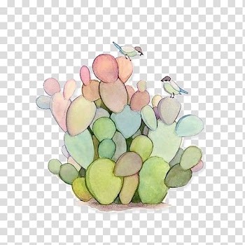Cactaceae Succulent plant Drawing Painting, painting transparent background PNG clipart