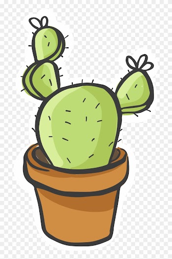Cactaceae Succulent Plant Icon - Cactaceae Succulent Plant Icon