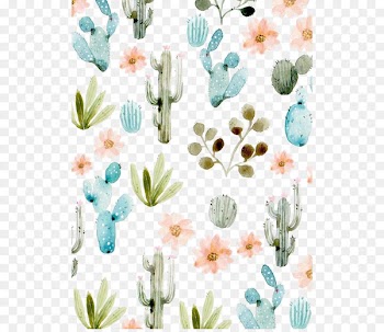 Cactaceae Succulent plant Wallpaper - cactus 