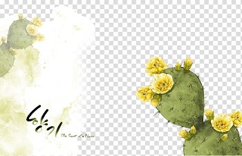 Cactaceae Thorns, spines, and prickles Illustration, cactus transparent background PNG clipart