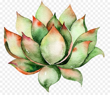 Cactaceae Wall decal Succulent plant Watercolor painting - Painted dark green water lotus 