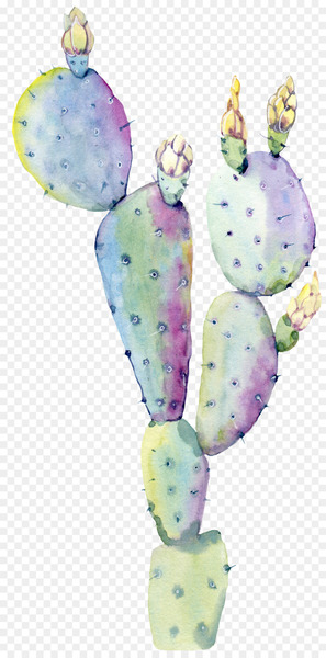 Cactaceae Watercolor: Flowers Watercolor painting Saguaro - Water color flower, green plant cactus 