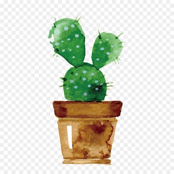 Cactaceae Watercolor painting Drawing Succulent plant Wallpaper - Watercolor cactus 